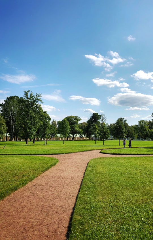 Bar dhe Lëndina Bar dhe Lëndina