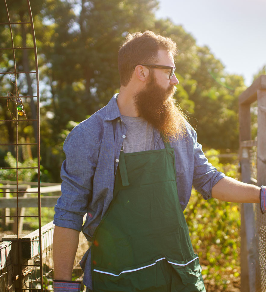 Degë shkëmbore Degë shkëmbore