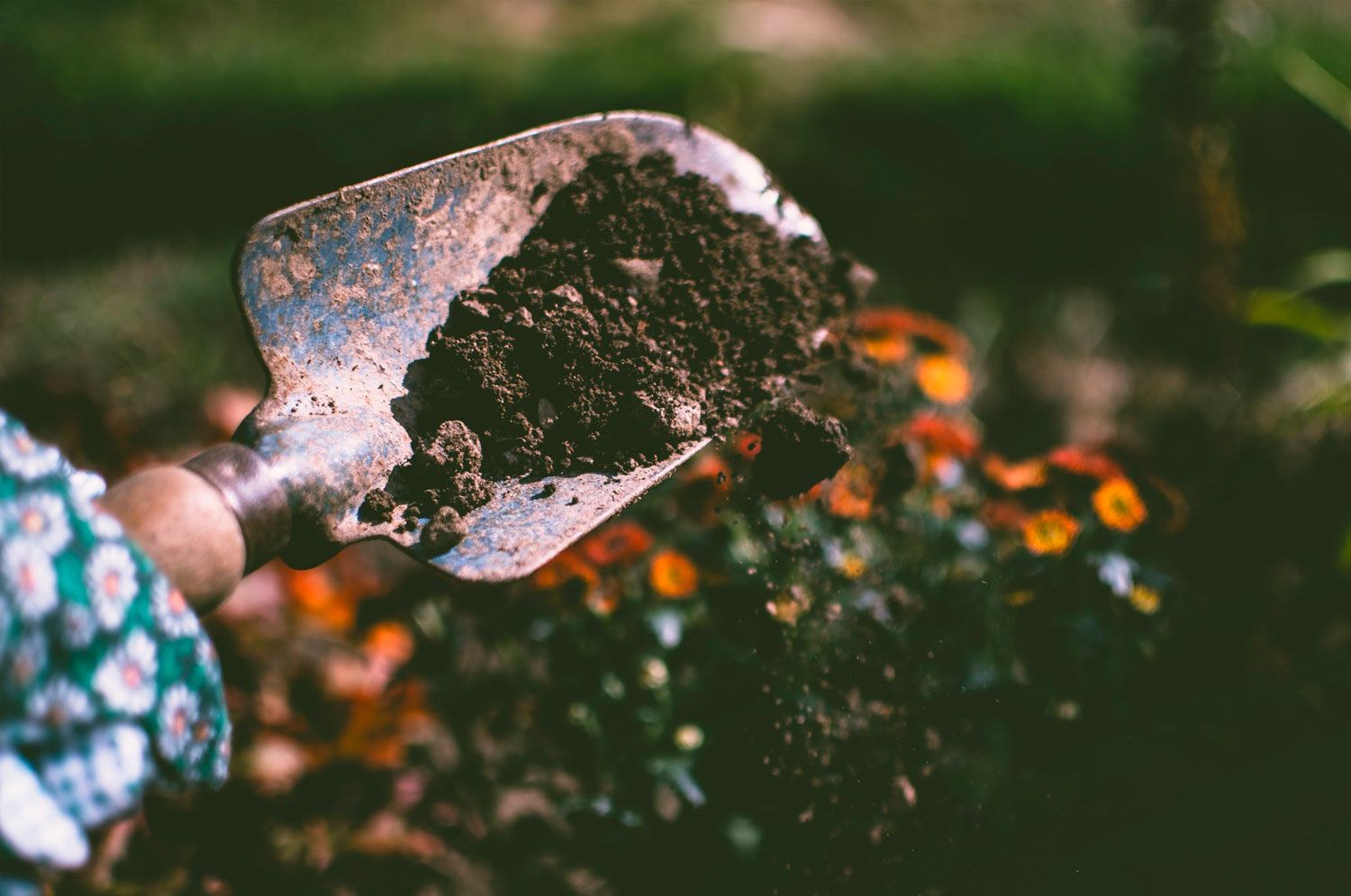 Lopatë dore për kopsht Lopatë dore për kopsht